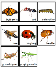 Load image into Gallery viewer, Memory Game Cards DIGITAL THEMES BUNDLE