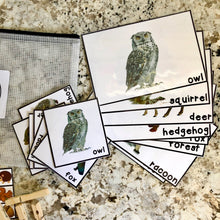 Load image into Gallery viewer, Forest Tot School Bundle