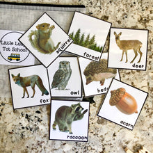 Load image into Gallery viewer, Forest Tot School Bundle