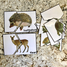 Load image into Gallery viewer, Forest Tot School Bundle