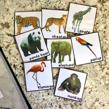 Load image into Gallery viewer, Zoo Tot School Bundle