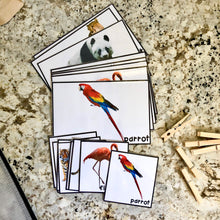 Load image into Gallery viewer, Zoo Tot School Bundle