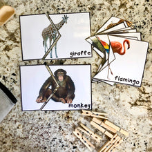 Load image into Gallery viewer, Zoo Tot School Bundle