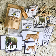 Load image into Gallery viewer, Zoo Tot School Bundle