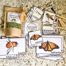 Load image into Gallery viewer, Bugs & Insects Tot School Bundle