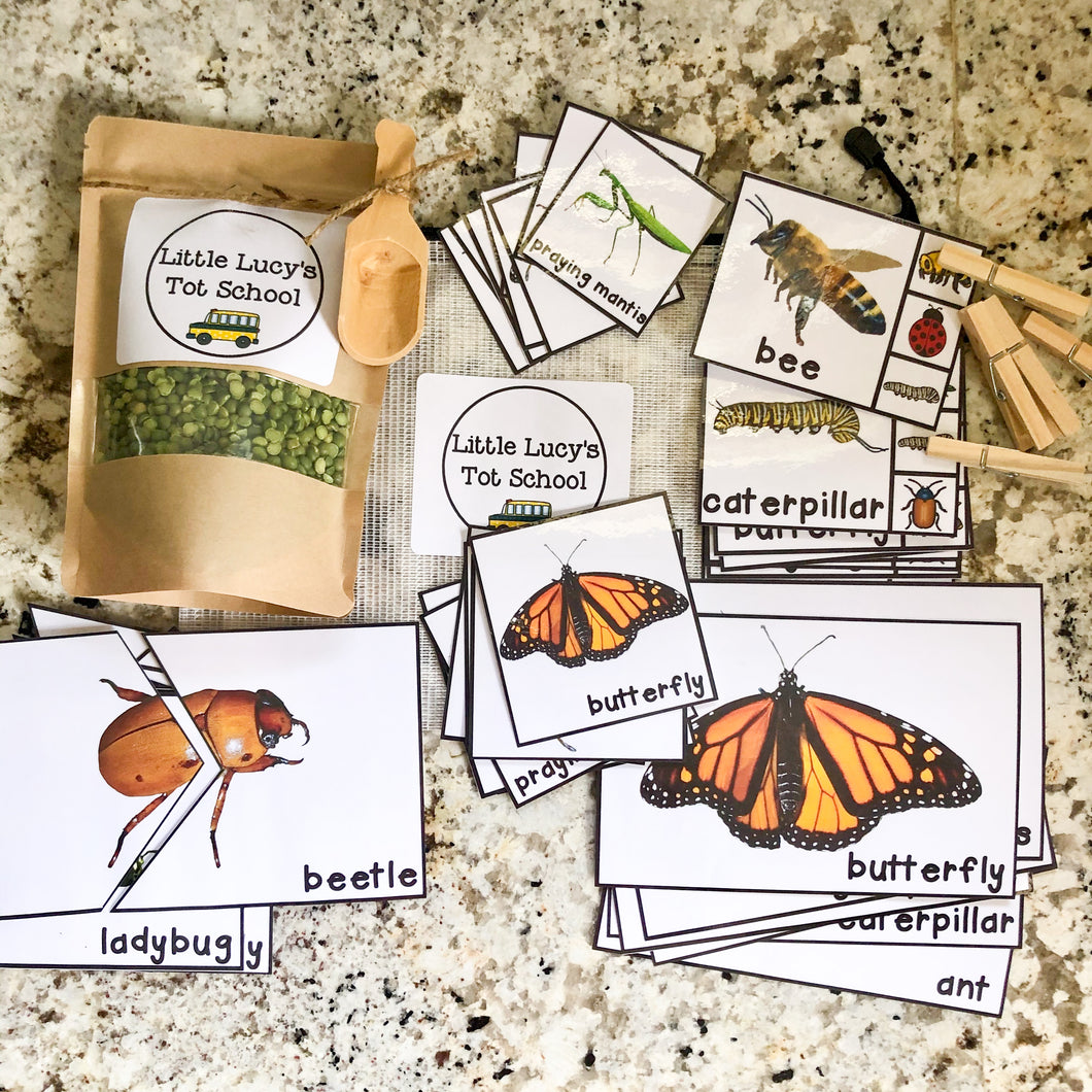 Bugs & Insects Tot School Bundle