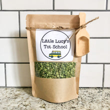 Load image into Gallery viewer, Bugs & Insects Tot School Bundle