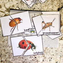 Load image into Gallery viewer, Bugs & Insects Tot School Bundle