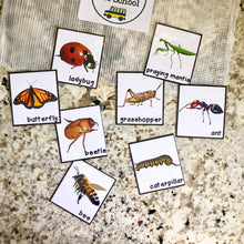 Load image into Gallery viewer, Bugs & Insects Tot School Bundle
