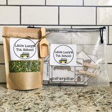 Load image into Gallery viewer, Bugs & Insects Tot School Bundle