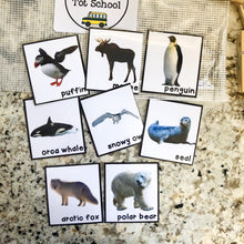Load image into Gallery viewer, Arctic Tot School Bundle