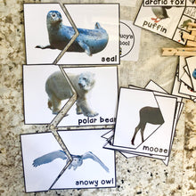 Load image into Gallery viewer, Arctic Tot School Bundle