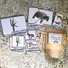 Load image into Gallery viewer, Desert Tot School Bundle