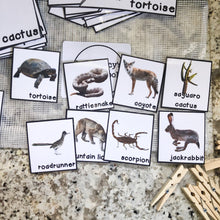 Load image into Gallery viewer, Desert Tot School Bundle