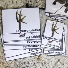 Load image into Gallery viewer, Desert Tot School Bundle