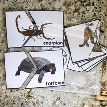 Load image into Gallery viewer, Desert Tot School Bundle