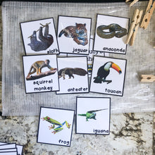 Load image into Gallery viewer, Rainforest Tot School Bundle