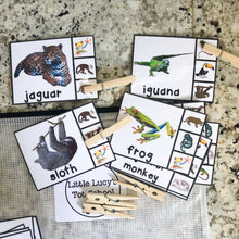 Load image into Gallery viewer, Rainforest Tot School Bundle
