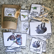 Load image into Gallery viewer, Rainforest Tot School Bundle