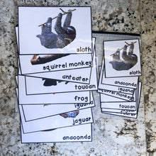 Load image into Gallery viewer, Rainforest Tot School Bundle