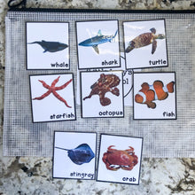 Load image into Gallery viewer, Ocean Tot School Bundle