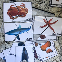 Load image into Gallery viewer, Ocean Tot School Bundle