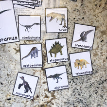 Load image into Gallery viewer, Dinosaur Tot School Bundle
