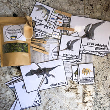 Load image into Gallery viewer, Dinosaur Tot School Bundle