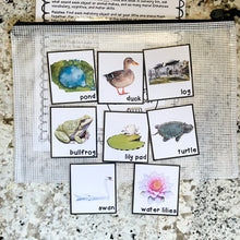 Load image into Gallery viewer, Pond Tot School Bundle