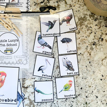 Load image into Gallery viewer, Birds Tot School Bundle