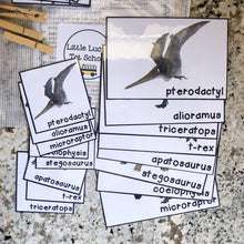 Load image into Gallery viewer, Dinosaur Tot School Bundle