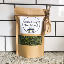 Load image into Gallery viewer, Dinosaur Tot School Bundle