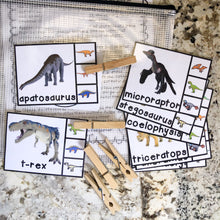 Load image into Gallery viewer, Dinosaur Tot School Bundle