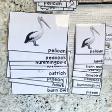 Load image into Gallery viewer, Birds Tot School Bundle