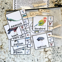Load image into Gallery viewer, Birds Tot School Bundle