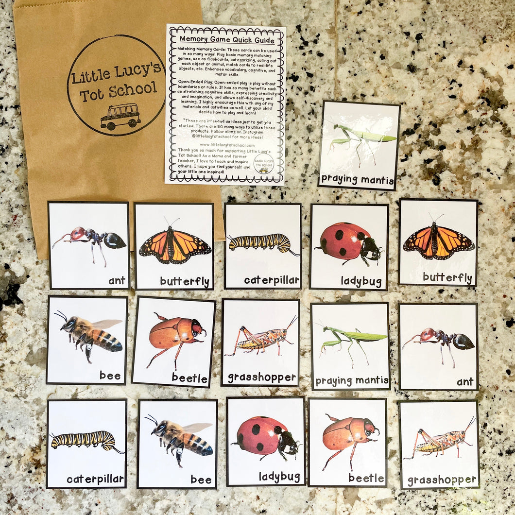 Bugs & Insects Memory Game Cards