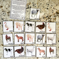 Farm Memory Game Cards