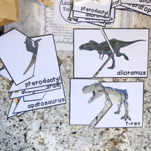Load image into Gallery viewer, Dinosaur Tot School Bundle
