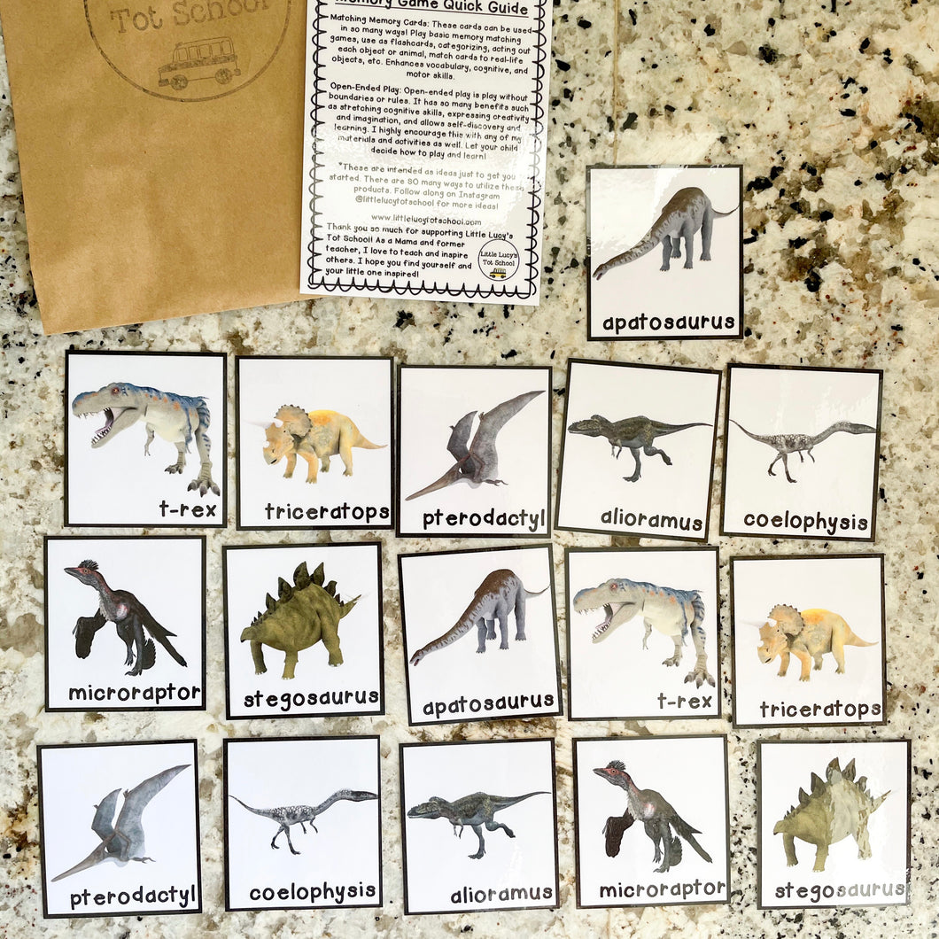 Dinosaur Memory Game Cards