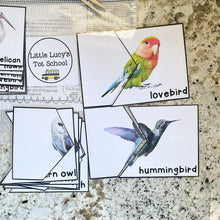 Load image into Gallery viewer, Birds Tot School Bundle
