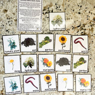 Garden Memory Game Cards
